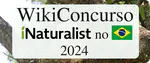 Concurso Wikipédia e iNaturalist no Brasil 2024 vem aí!